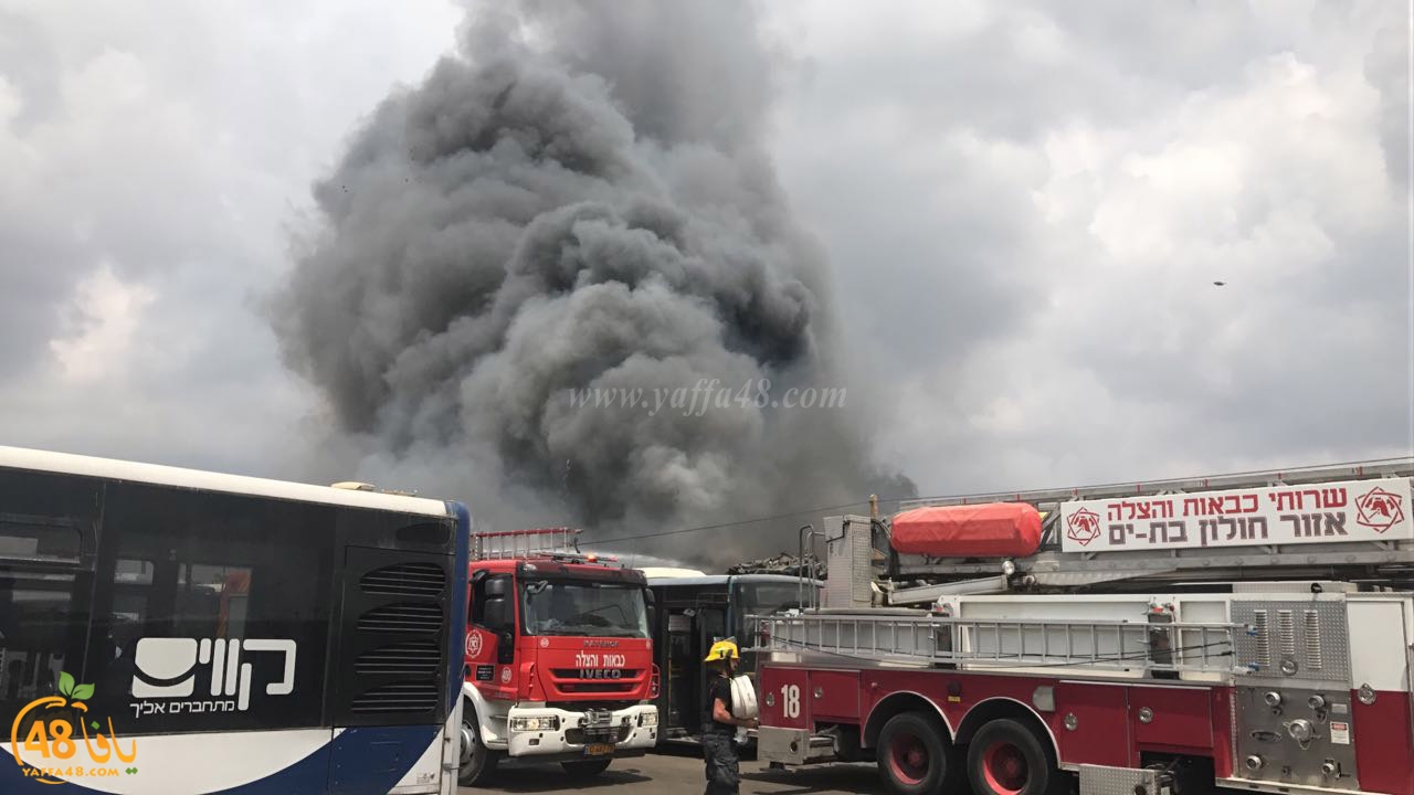 firbus eastyaffa (13).jpg